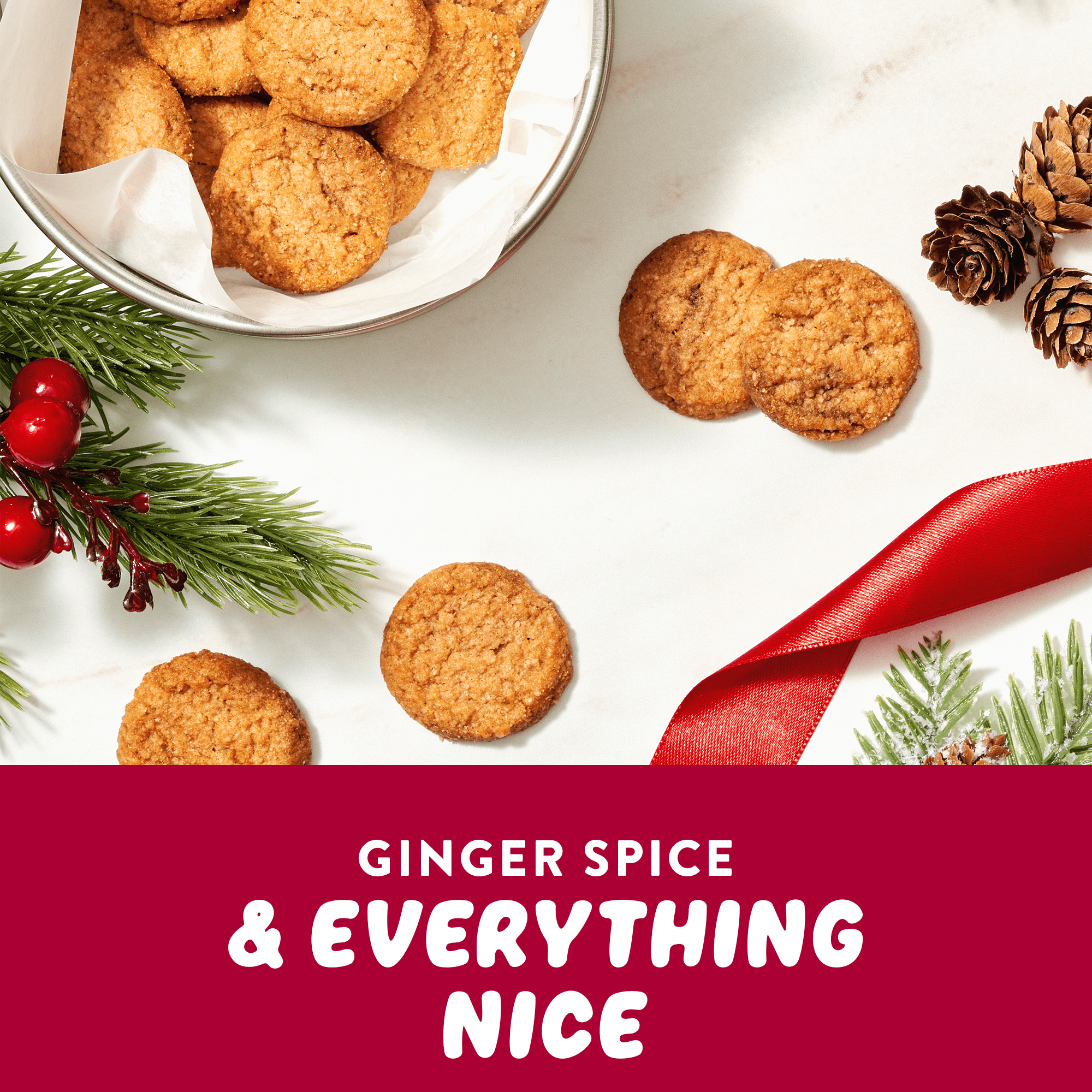 Mini Cookies: Ginger Spice (3 Pack - 2 oz bags) - View 6